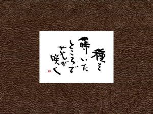 名言壁紙002 名言 格言 言葉の力 無料壁紙